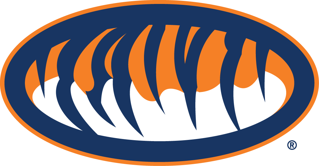 Auburn Tigers 1998-Pres Alternate Logo v2 iron on transfers for clothing